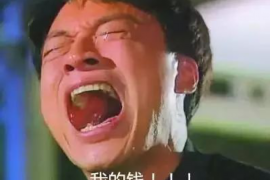 望城专业要账公司